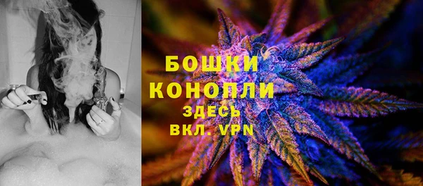 ГАЛЛЮЦИНОГЕННЫЕ ГРИБЫ Волоколамск