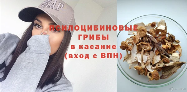 спайс Вяземский