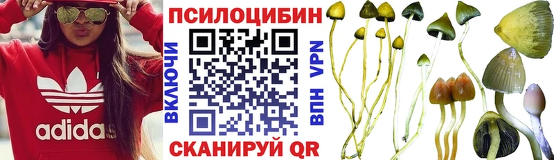 Галлюциногенные грибы Magic Shrooms  Донецк 